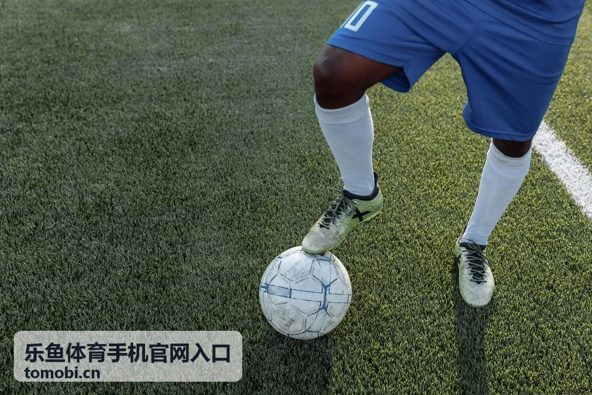 乐鱼体育玩法入口常见问题