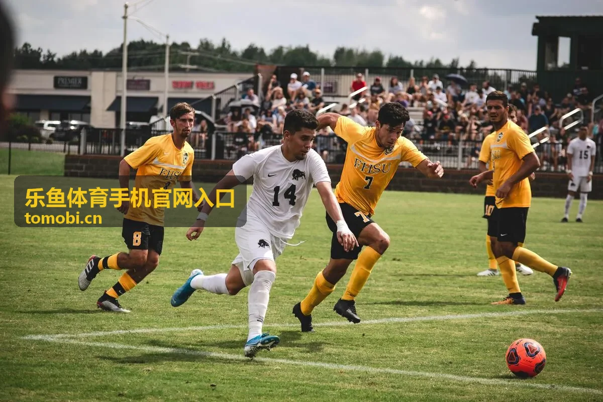 乐鱼体育手机官网入口的玩法与功能说明页面