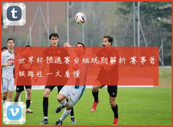 世界杯预选赛分组规则解析 赛事晋级路径一文看懂