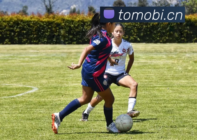 世界杯官网平台发展历程